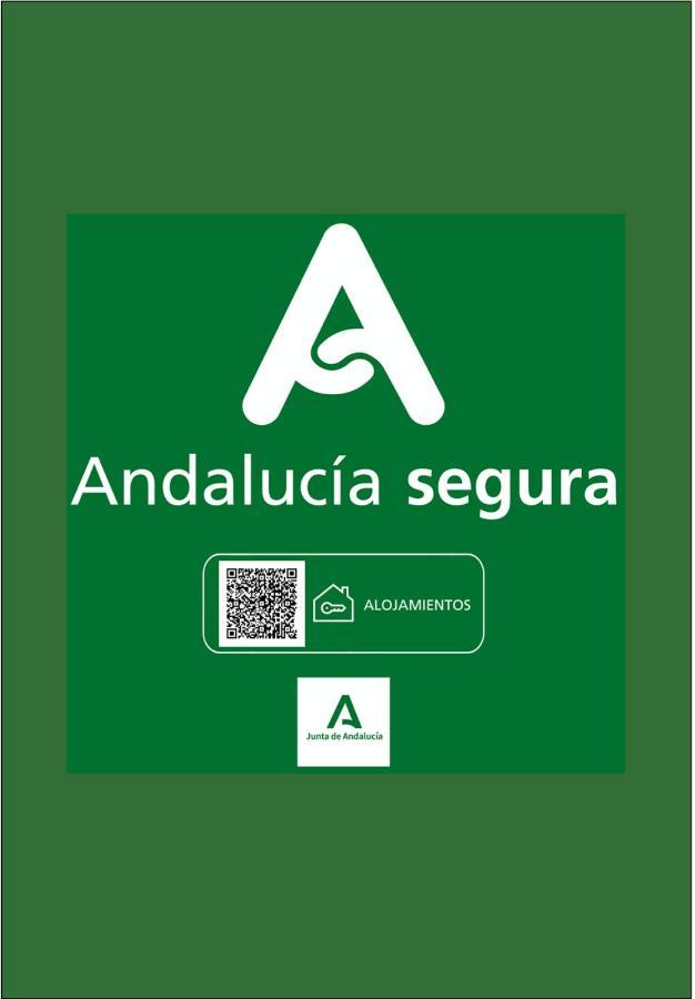 Holidays2Malaga Terraza & Junto Puerto Deportivo المظهر الخارجي الصورة